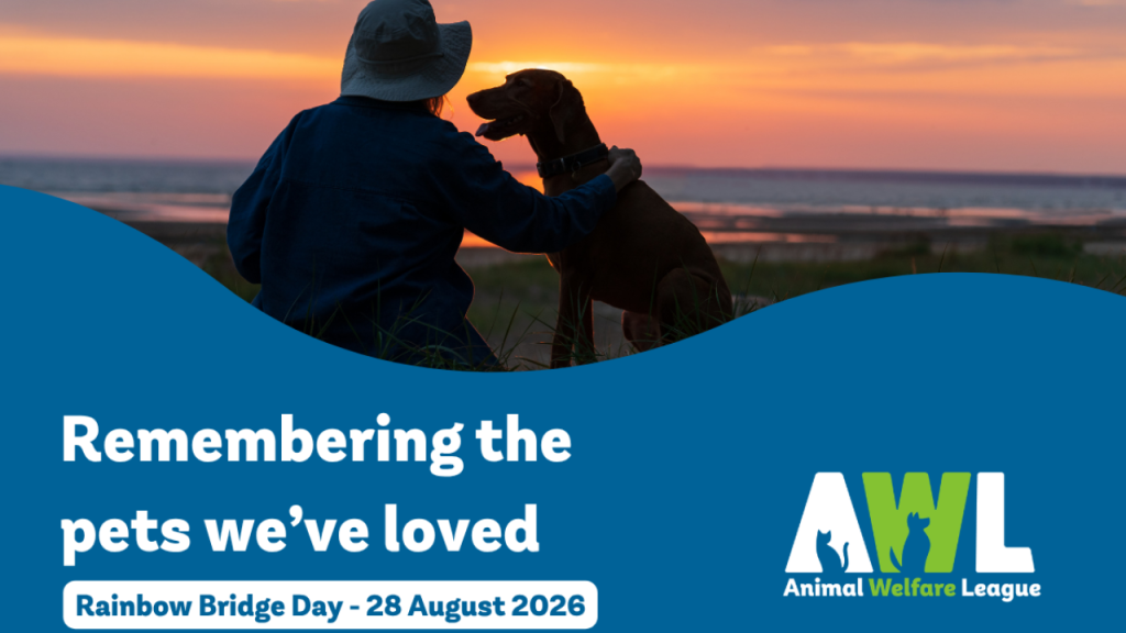 AWL marks Rainbow Bridge Day – 28 August